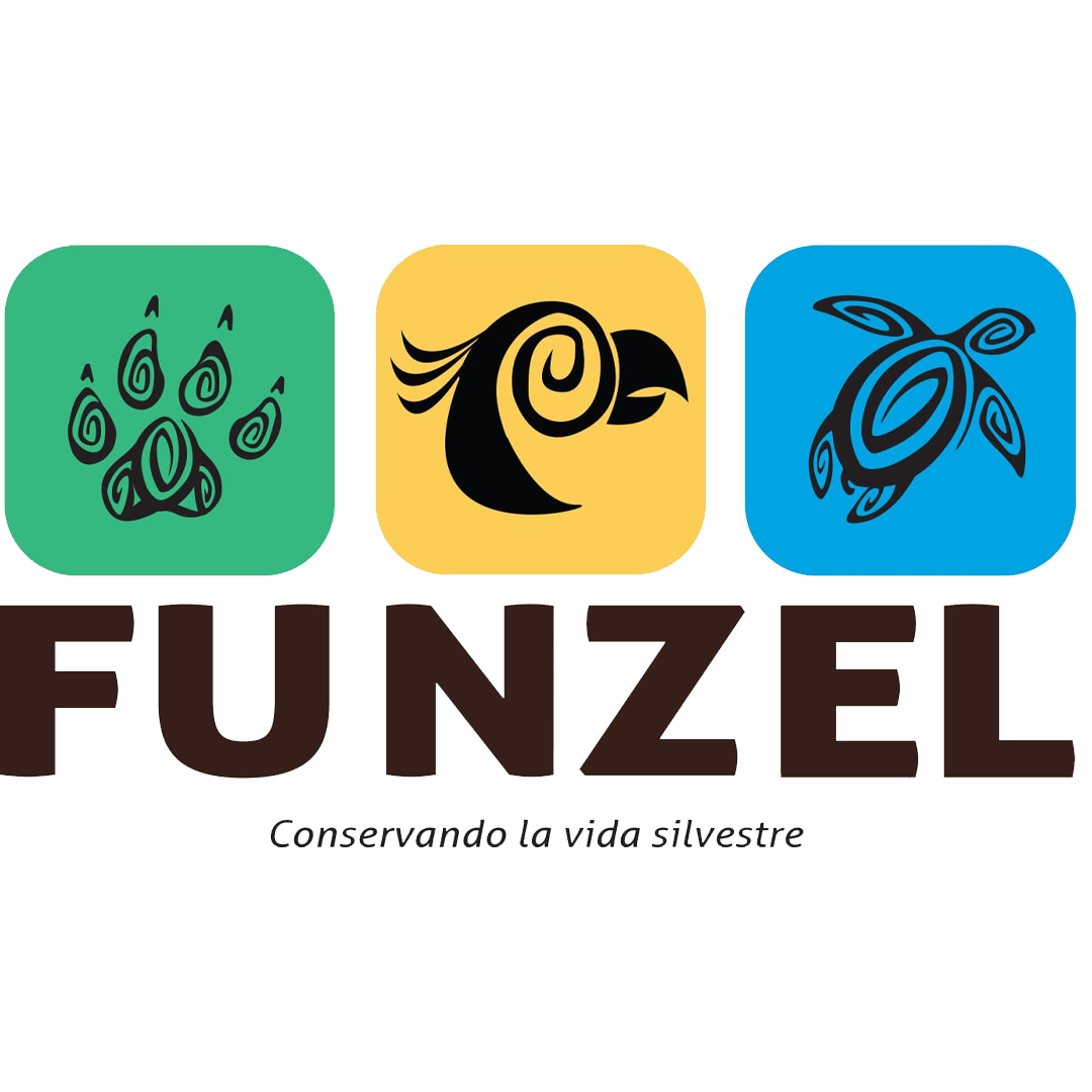 LOGO FUNZEL (1) (3) (1)